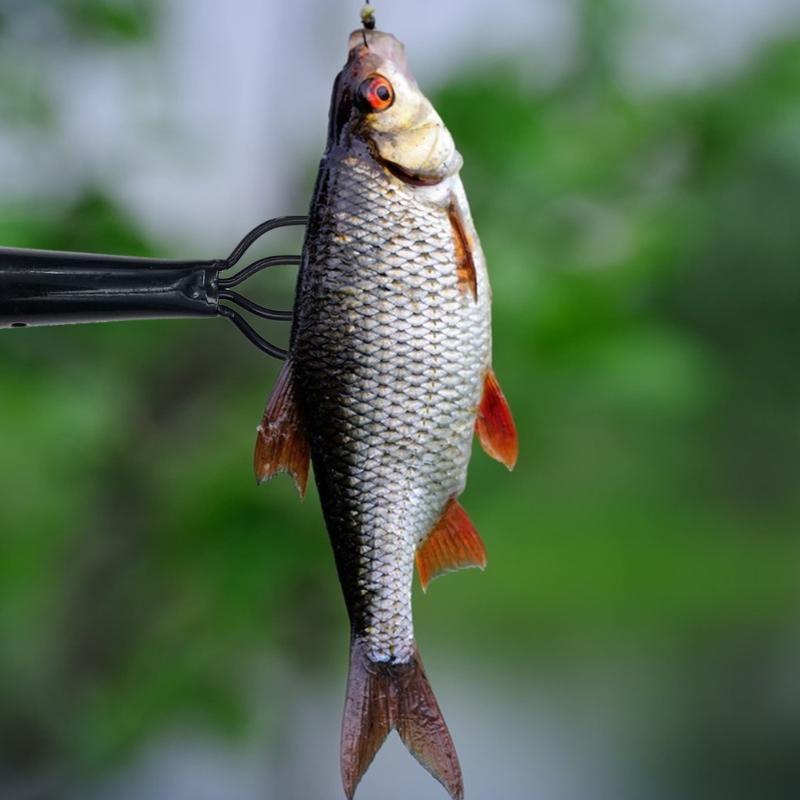Fishing Rod Tip Replacement - R6FE フィッシングフォーク スプリングスチール フィッシング バーブ プロング